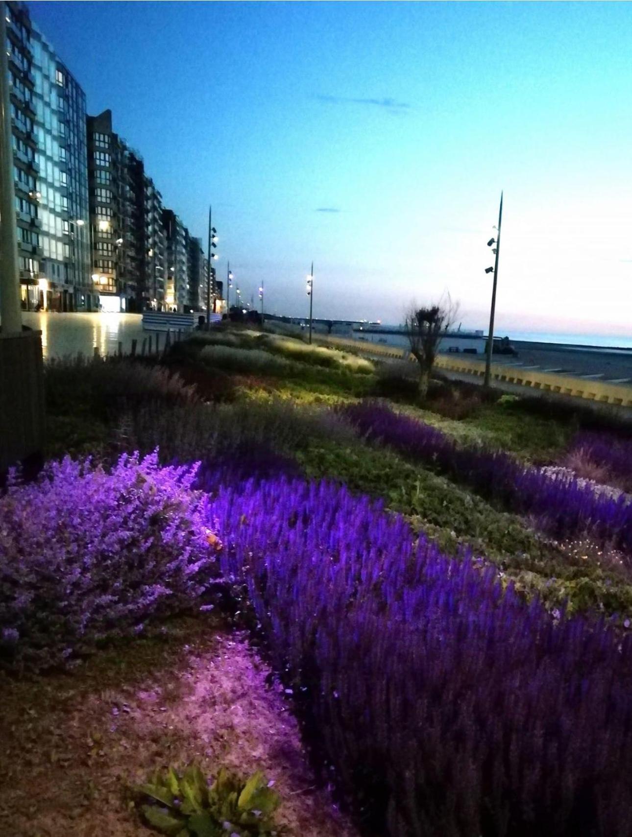 West-End Beach Middelkerke Extérieur photo